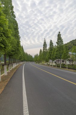 Muhteşem kanepe closeup arka plan