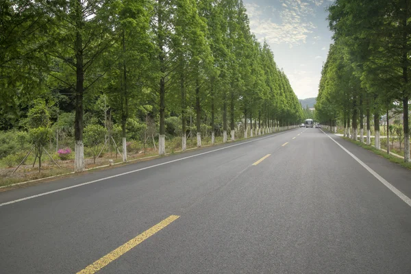 Highway road with wood trees — ストック写真