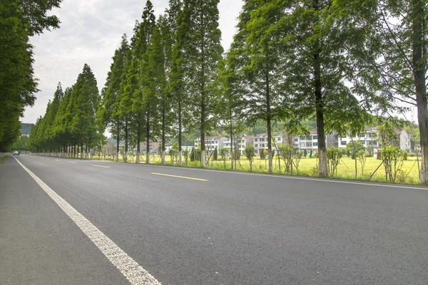 Strada statale con alberi di legno — Foto Stock