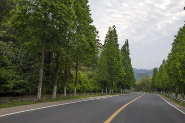 Muhteşem kanepe closeup arka plan