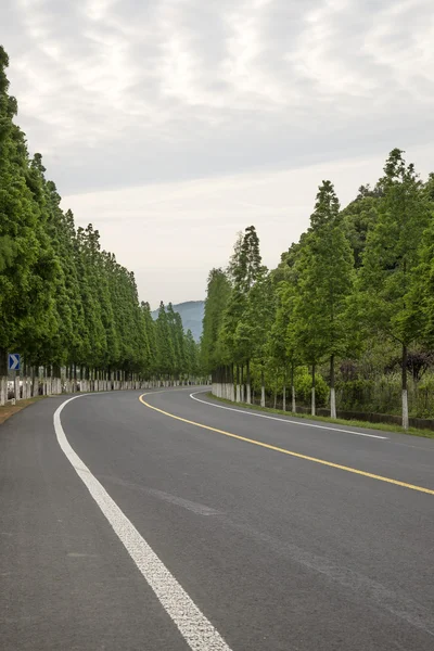 豪華なソファのクローズ アップの背景 — ストック写真