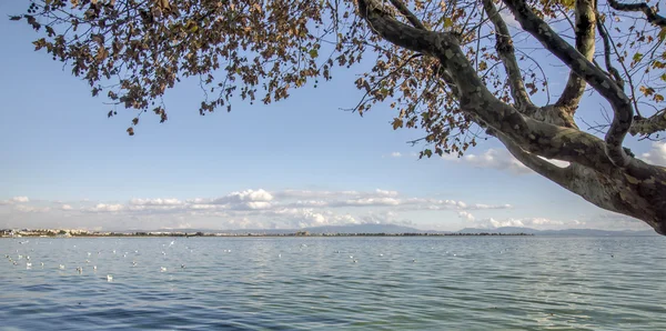 Muhteşem kanepe closeup arka plan