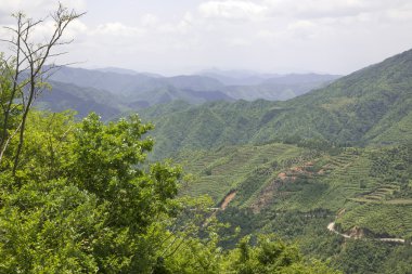 Güzel Çin yatay çekim