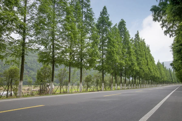 Bergweg bij schemering china — Stockfoto