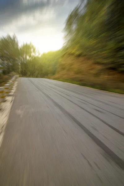 Forest road china background — Stock Photo, Image