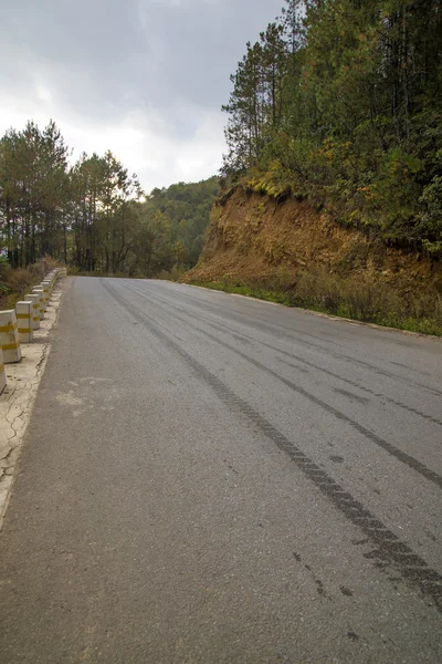 Forest road china background — Stock Photo, Image