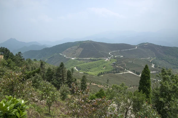 Thee berg landschap china — Stockfoto