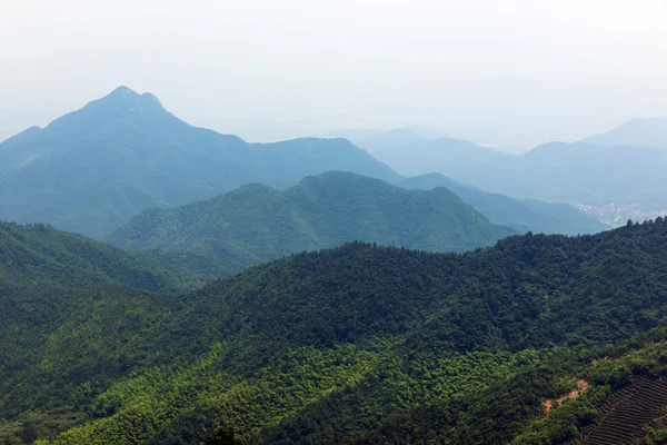 चाय पर्वत दृश्य चीन — स्टॉक फ़ोटो, इमेज