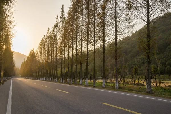 Zonsondergang Highway mangroven — Stockfoto