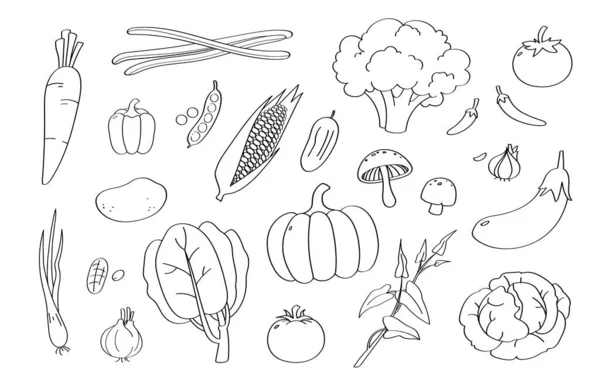 Ícones Desenhos Animados Vegetais Doodle Bonito Objetos — Fotografia de Stock