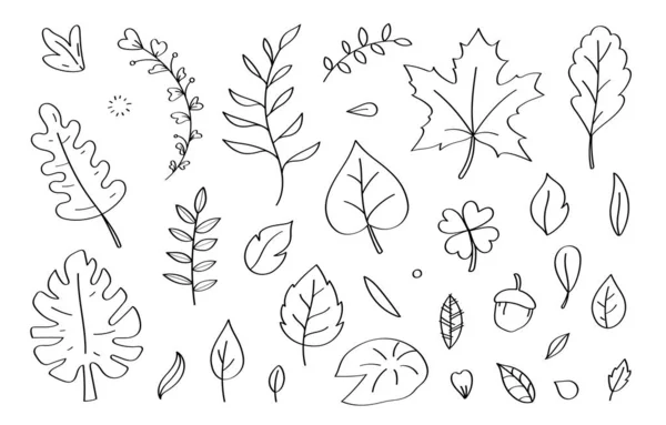 Cute Doodle Leaf Cartoon Icons Objects Stock Photo