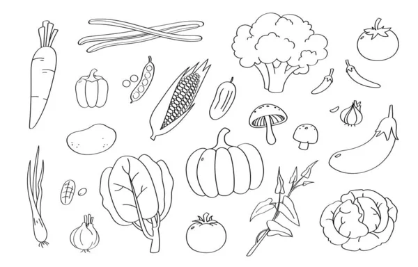 Cute Ikony Kreskówki Warzywa Doodle Obiektów Obrazy Stockowe bez tantiem