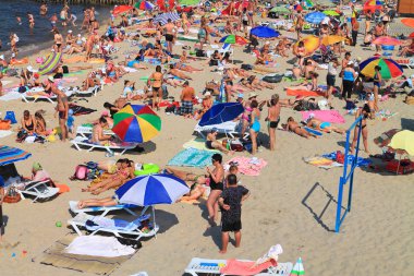 Sıcak güneşli bir Baltık Denizi kıyısında kumlu plaj