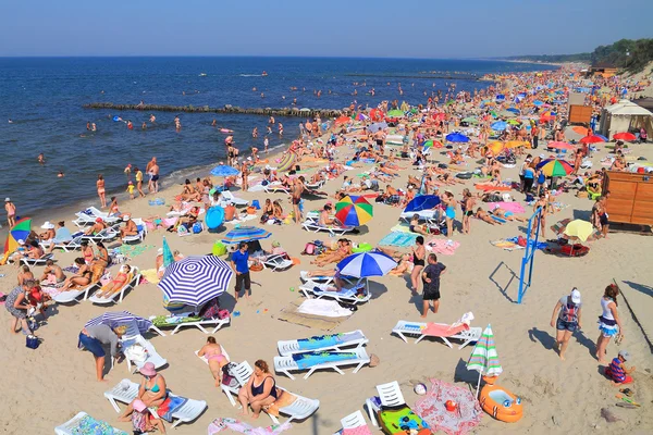 Baltık Denizi kıyısında kumlu plaj