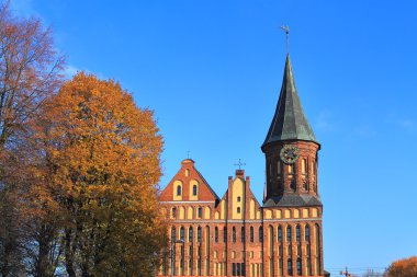 Kaliningrad şehir Königsberg katedralde