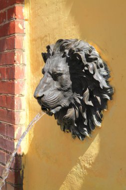 Maskaron aslan
