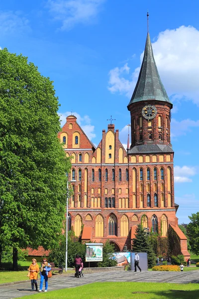 Kant'ın adada Königsberg Katedrali