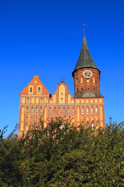 Ada Kneiphof üzerinde Königsberg Katedrali