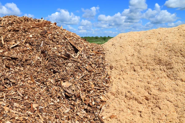 Big heap of wood chips and sawdust on sawmill — Stock Photo, Image