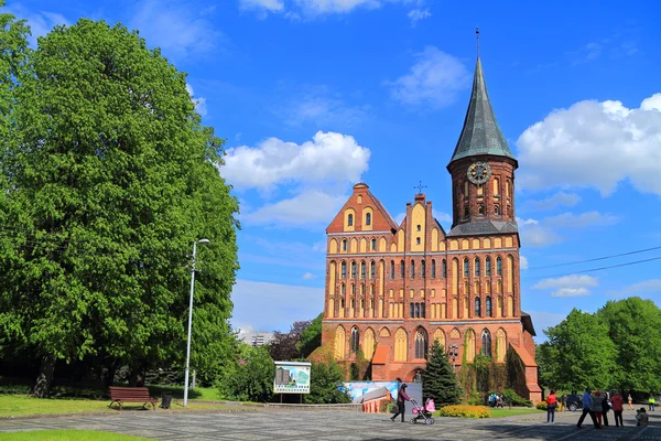 The Konigsberg Cathedral on the island Knaypkhof — Stock Photo, Image