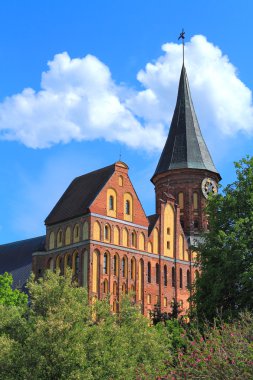 Mayıs ayında güneşli bir günde Knigsberg Katedrali