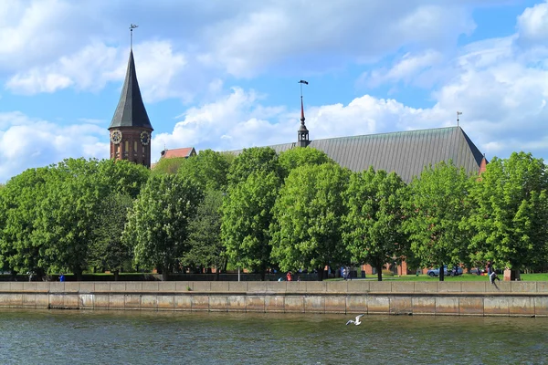 Кенигсбергский собор — стоковое фото