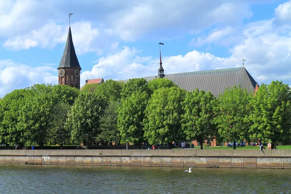 Catedral de Konigsberg — Fotografia de Stock