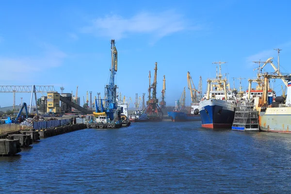 Porto de Kaliningrado na manhã de verão — Fotografia de Stock