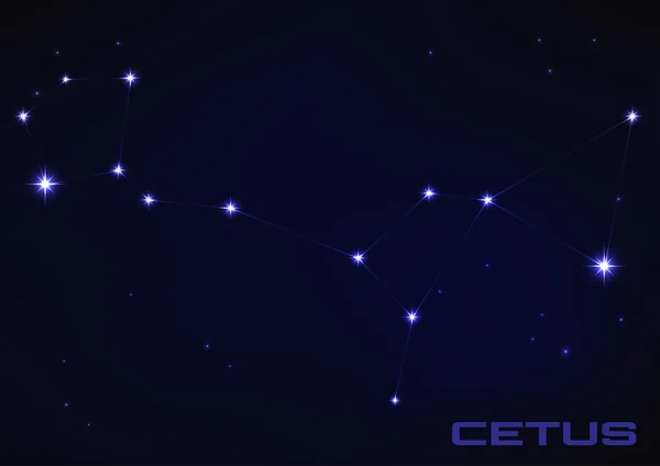 Cetus constellation — Stock Vector