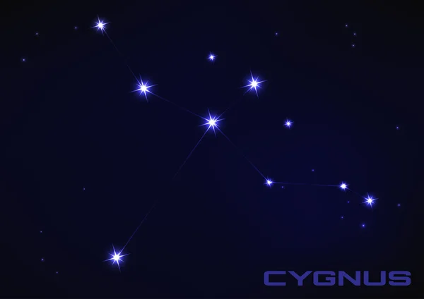 Cygnus-Konstellation — Stockvektor