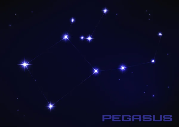 Constelação de pegasus — Vetor de Stock