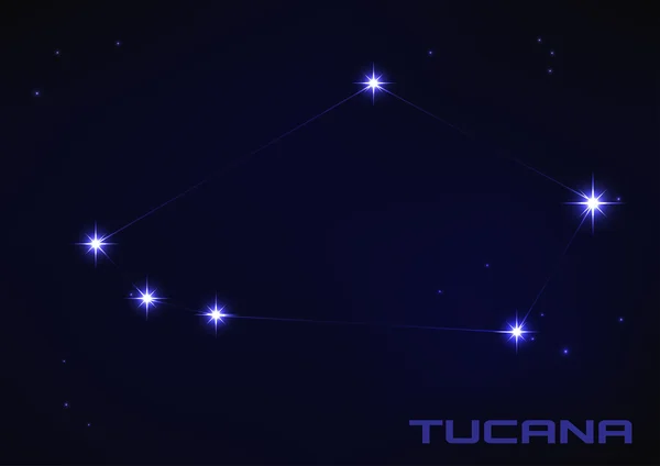 Созвездие Туканы — стоковый вектор