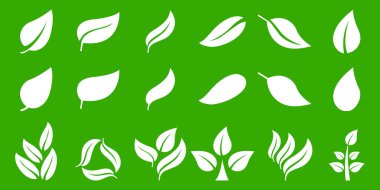 Beyaz yaprak ikonlarının vektör kümesi. Yaprak ekolojisi ikonu doğa elementi, yapraklar, çevre ve doğa ekolojik işaretini belirler. İzole edilmiş yeşil arka planda beyaz yapraklar. Vektör EPS 10