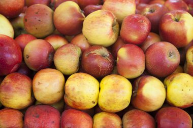 yığın piyasa ahır, gerçek organik elma