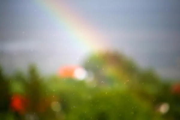 Verschwommene Sommerlandschaft mit Regenbogen — Stockfoto