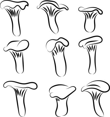 Chanterelle Mantarları El Çizgisi Sanatını Ayarla