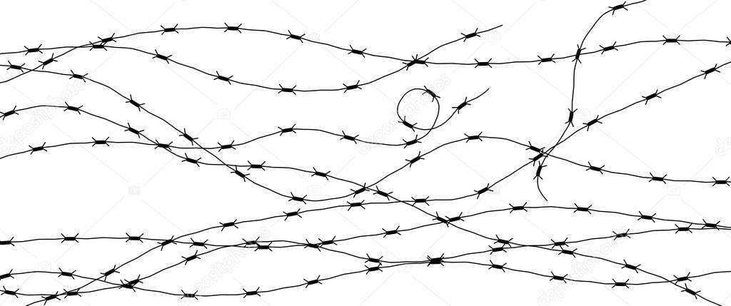 Barbed Wire Isolated on White. Wired Border of Prison or War Zone.