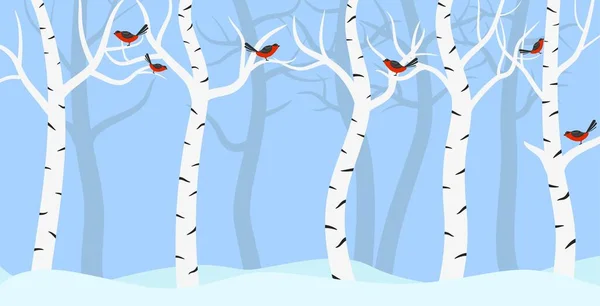 Betulla Grove Inverno Con Uccelli Illustrazione Piatta — Foto Stock