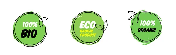 Eco Verde Producto Redondo Pinceles Banners — Archivo Imágenes Vectoriales