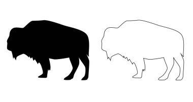 Beyaz 'da izole edilmiş bir Bizon Bufalosu silueti. Hayvanlar ve vahşi yaşam fikri vektör sanatı