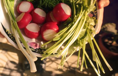                                Kırmızı turp, yeşil soğan ve yeşillik.