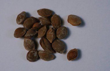                       Beyaz arkaplanda tuzlu çekirdek           