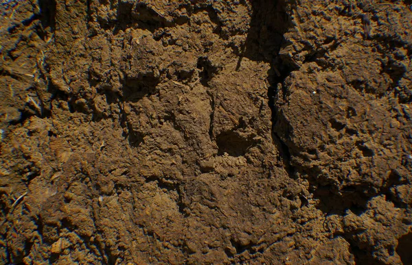 Трещины Почве Трещины Почве — стоковое фото