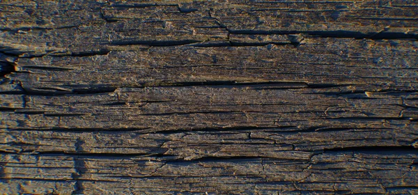 Struktura Shnilého Dřeva Přírodní Dřevo — Stock fotografie