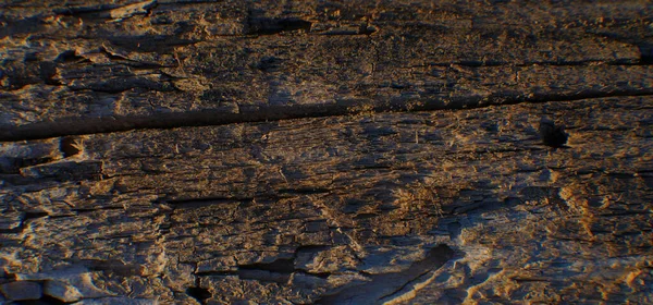 Morsche Holzstruktur Natürliches Holz — Stockfoto