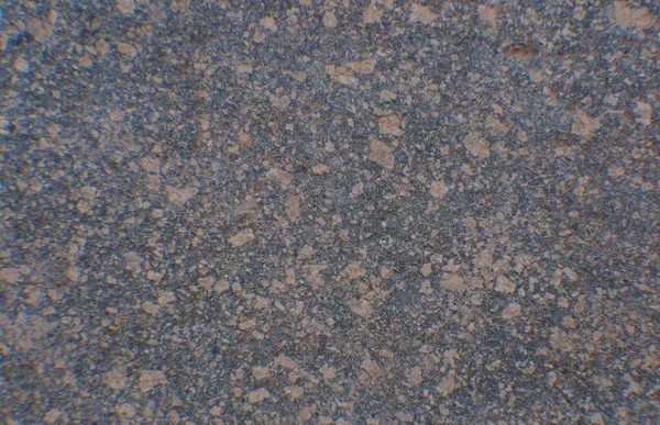 Gray Stone Texture Mixed Colors — Stock Photo, Image