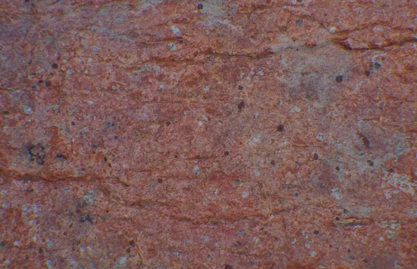 Textur Aus Rotem Stein Gemischte Farben — Stockfoto