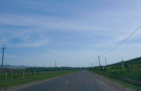 Asphalt Road Leads Long Mountain Field — Photo