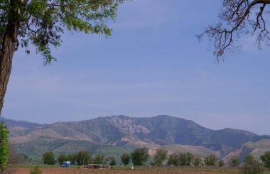                           Field work has begun in the field, sowing is underway     