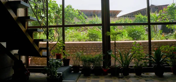 窓の後ろの庭の眺め ホームポーチ — ストック写真
